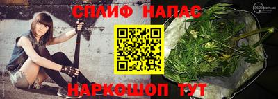 jwh Гатчина